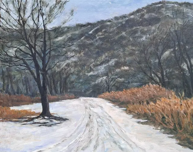 황성민, 겨울산